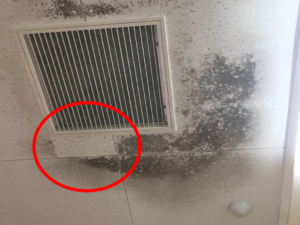 エアコン近辺のBANシステムふき取りデモンストレーション